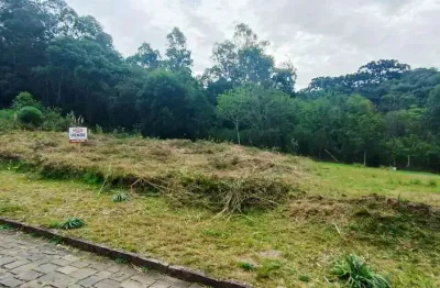 Terreno à venda no Salgado Filho, Caxias do Sul 