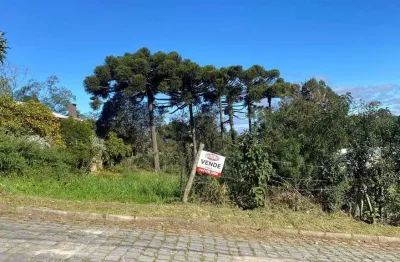 Terreno à venda no Presidente Vargas, Caxias do Sul 