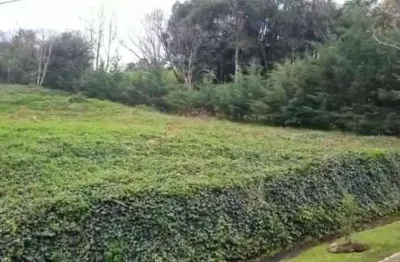 Terreno à venda no Linha 40, Caxias do Sul 