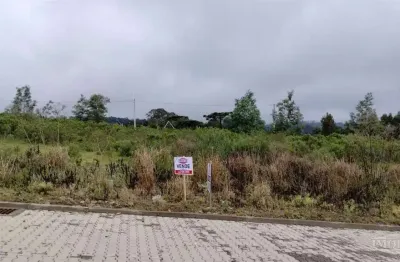 Terreno à venda no Monte Verde, Farroupilha 