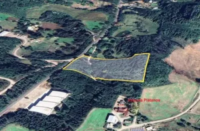 Terreno à venda no 3 Distrito, Farroupilha 