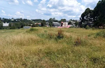 Terreno à venda na Ana Rech, Caxias do Sul 