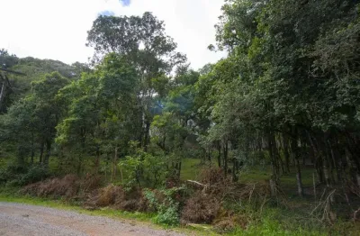 Terreno à venda no Jardim Eldorado, Caxias do Sul 