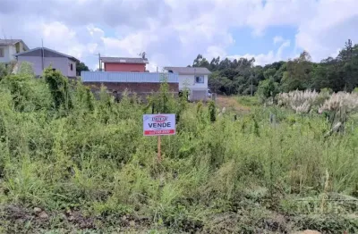 Terreno à venda no Monte Verde, Farroupilha 