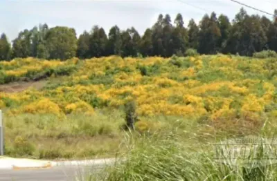 Terreno à venda no Monte Pasqual, Farroupilha 