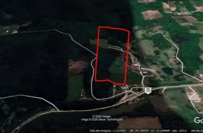 Chácara / sítio à venda no Nova Sardenha (Distrito), Farroupilha 