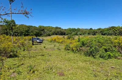 Chácara / sítio à venda na Linha Palmeiro, Farroupilha 