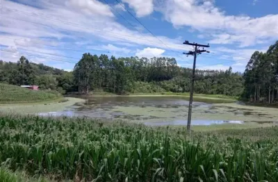 Chácara / sítio à venda na Santa Luiza, Carlos Barbosa 