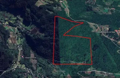Chácara / sítio à venda na Zona Rural, Alto Feliz 