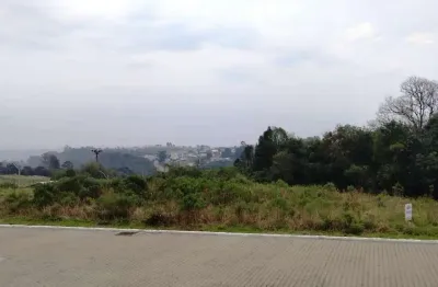 Terreno à venda no Monte Verde, Farroupilha 