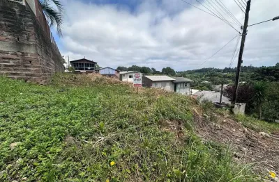 Terreno à venda no Vicentina, Farroupilha 