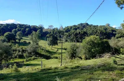 Chácara / sítio à venda na Zona Rural, Farroupilha 