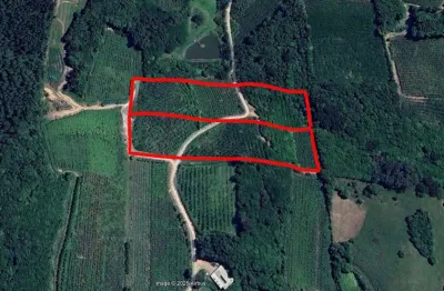 Terreno à venda no Jansen, Farroupilha 