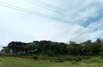 Terreno à venda no Pedancino, Caxias do Sul 