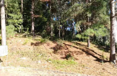 Terreno à venda na Colina Sorriso, Caxias do Sul 