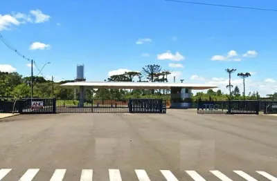 Terreno comercial à venda na Linha Palmeiro, Farroupilha 