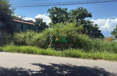 Terreno à venda, 490 m² por R$ 380.000 - Figueira - Guaratinguetá/SP