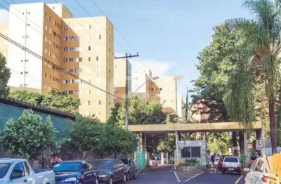 Apartamento para alugar no jardim paulista, ribeirão preto