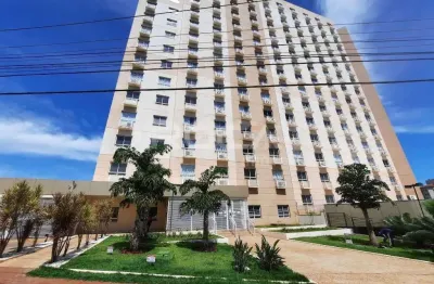 Apartamento para alugar em ribeirão preto, jardim iguatemi