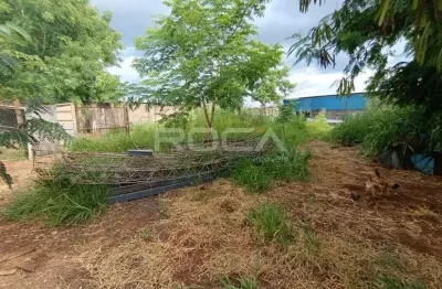 Terreno Padrão para Alugar com 1.460m² no bairro Vila Carvalho, Ribeirão Preto