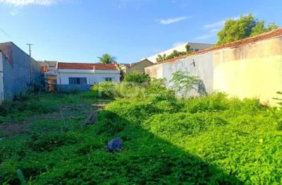 Terreno padrão à venda no jardim sumaré, ribeirão preto