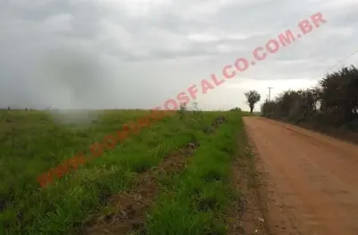 Fazenda à venda na Área Rural de Nova Odessa, Nova Odessa 