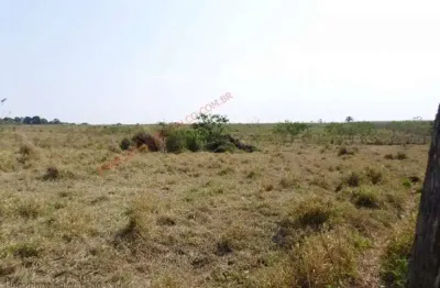 Fazenda à venda no Santo Antônio, Cosmópolis 