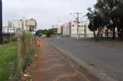 Ob.  aguardar  inventario venda vilanossasenhoradeftima americana/sp