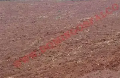 Fazenda à venda na Área Rural de Artur Nogueira, Artur Nogueira 