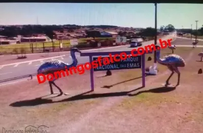 Fazenda à venda na Área Rural de Mineiros, Mineiros 