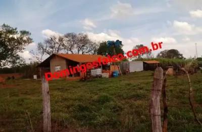 Fazenda à venda no Bairro do Pinhal, Limeira 