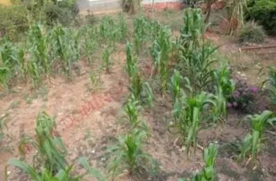Terreno à venda no Jardim Bela Vista, Americana 