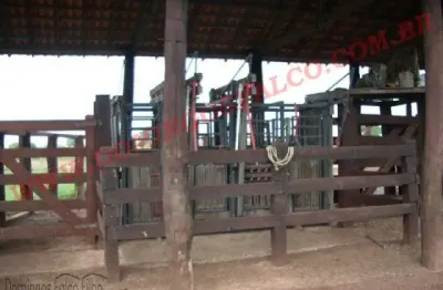 Fazenda à venda na Zona Rural, São Félix do Araguaia 