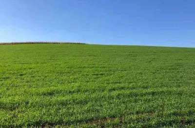 Fazenda à venda na Zona Rural, Goioxim 