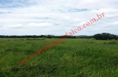 Fazenda à venda na Zona Rural, Santa Terezinha 
