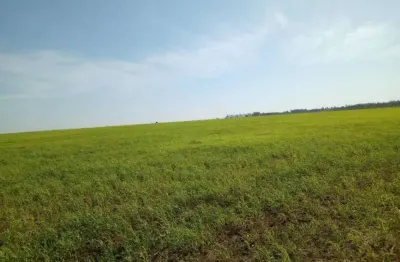 Fazenda à venda na Zona Rural, Rosana 