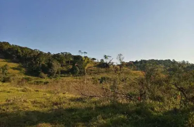 Fazenda à venda na Área Rural de Paranaguá, Paranaguá 