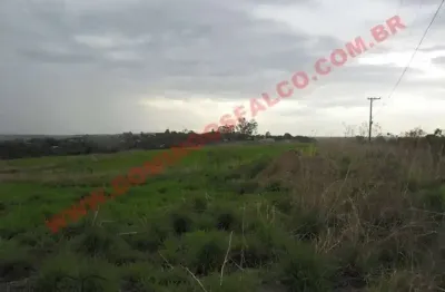 Fazenda à venda na Área Rural de Nova Odessa, Nova Odessa 