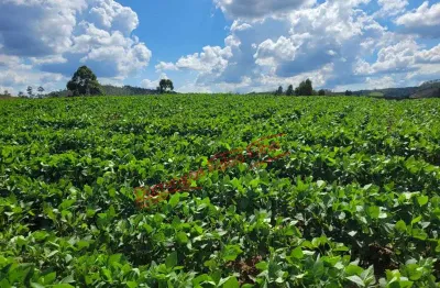 Fazenda à venda na Zona Rural, Ipuiúna 