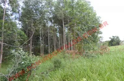 Fazenda à venda no Jardim Nova Limeira, Limeira 