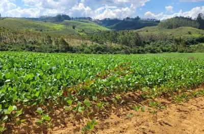 Fazenda à venda na Zona Rural, Caldas 