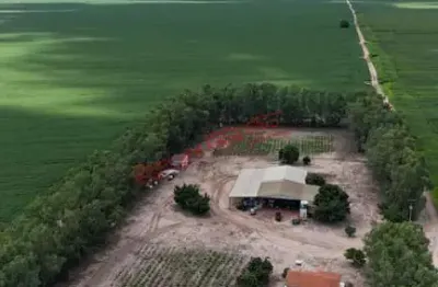 Fazenda à venda na Zona Rural, Bom Jesus 