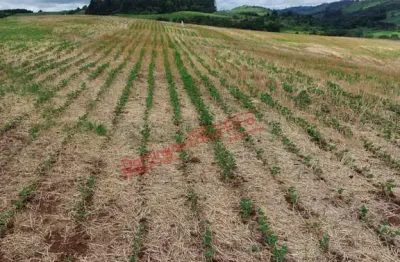 Fazenda à venda na Zona Rural, Goioxim 