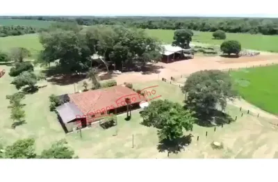 Fazenda à venda na Área Rural de Novo Planalto, Novo Planalto 