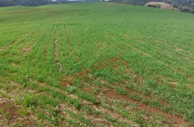 Fazenda à venda na Zona Rural, Goioxim 