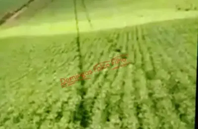 Fazenda à venda no Zona Rural, Ivaí 