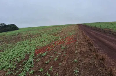 Fazenda à venda na Zona Rural, Goioxim 
