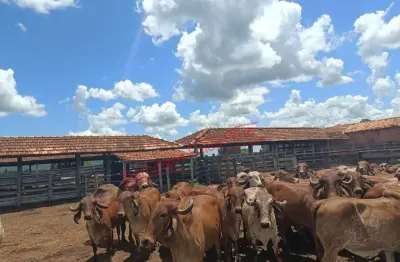 Fazenda à venda na Zona Rural, Manga 