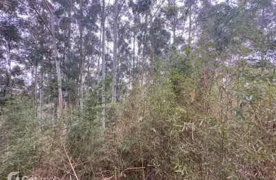 Terreno em condomínio fechado à venda na avenida andradina, 388, residencial tamboré, barueri por r$ 3.200.000