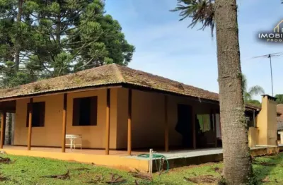 Chácara com 3 dormitórios à venda, 161053 m² por r$ 2.200.000,00 - fragosos - campo alegre/sc